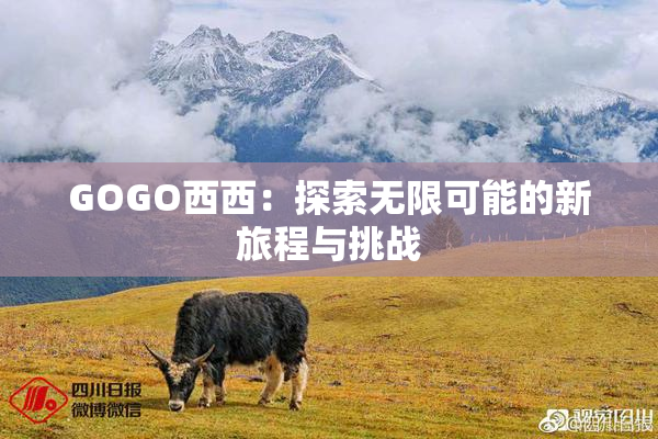 GOGO西西：探索无限可能的新旅程与挑战