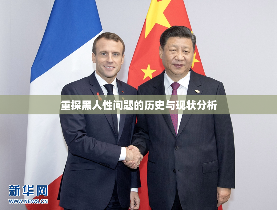重探黑人性问题的历史与现状分析