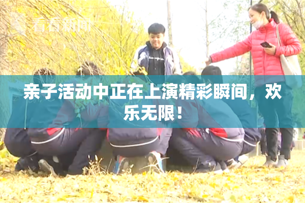 亲子活动中正在上演精彩瞬间，欢乐无限！