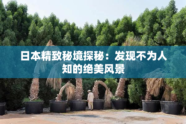 日本精致秘境探秘：发现不为人知的绝美风景