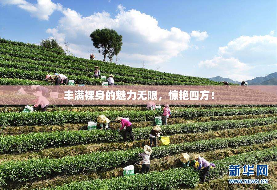 丰满裸身的魅力无限，惊艳四方！