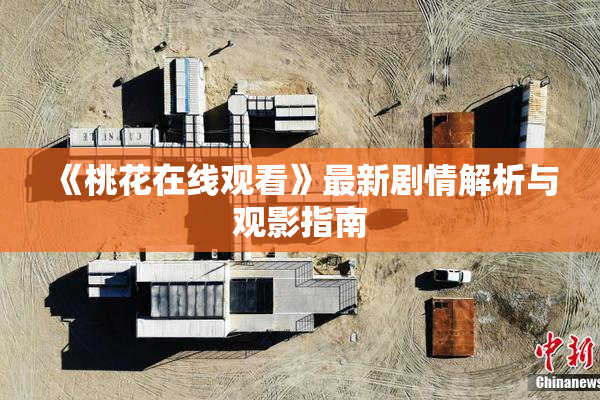 《桃花在线观看》最新剧情解析与观影指南
