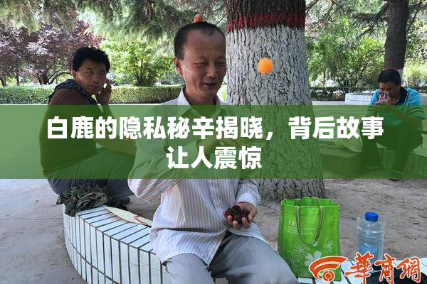 白鹿的隐私秘辛揭晓，背后故事让人震惊