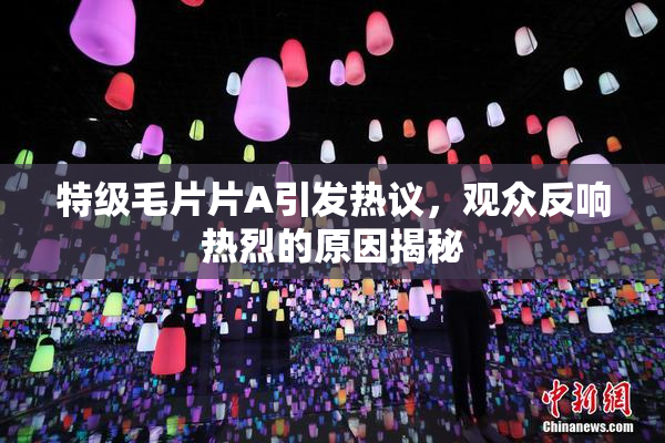 特级毛片片A引发热议，观众反响热烈的原因揭秘