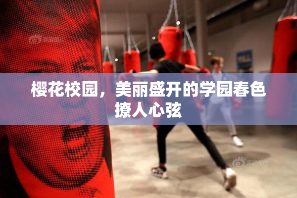 樱花校园，美丽盛开的学园春色撩人心弦