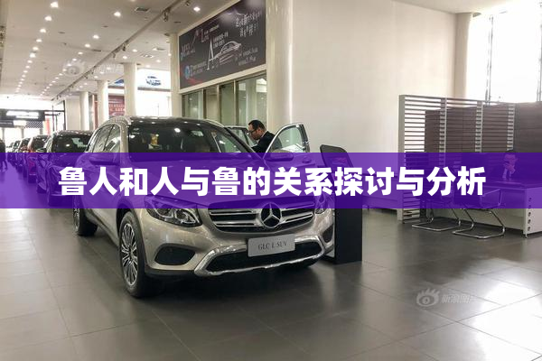 鲁人和人与鲁的关系探讨与分析