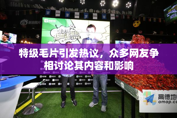 特级毛片引发热议，众多网友争相讨论其内容和影响