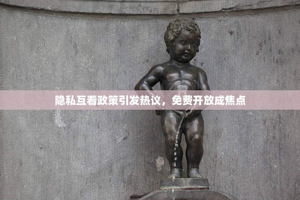 隐私互看政策引发热议，免费开放成焦点