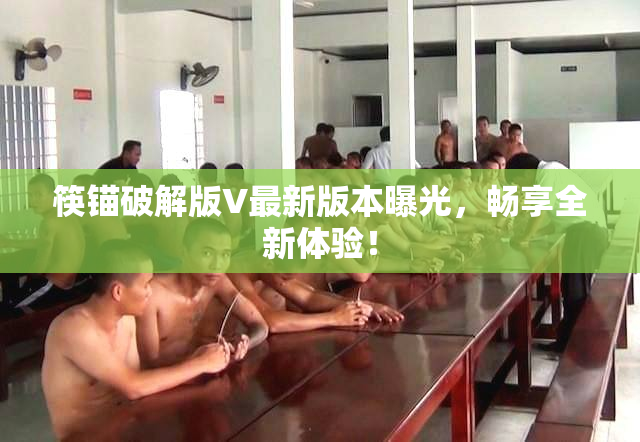筷锚破解版V最新版本曝光，畅享全新体验！