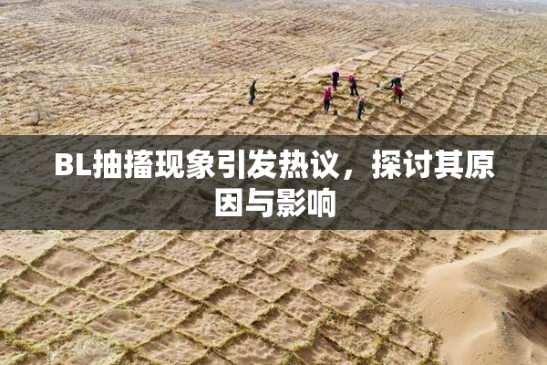 BL抽搐现象引发热议，探讨其原因与影响