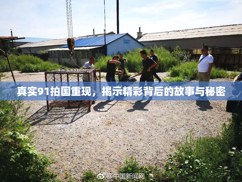 真实91拍国重现，揭示精彩背后的故事与秘密
