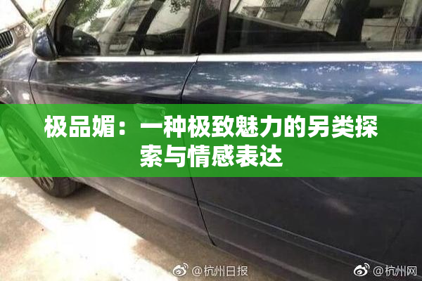 极品媚：一种极致魅力的另类探索与情感表达
