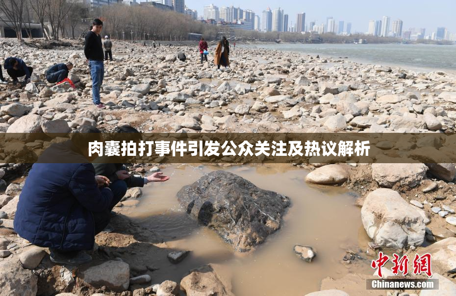 肉囊拍打事件引发公众关注及热议解析