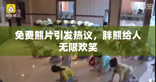 免费熊片引发热议，胖熊给人无限欢笑