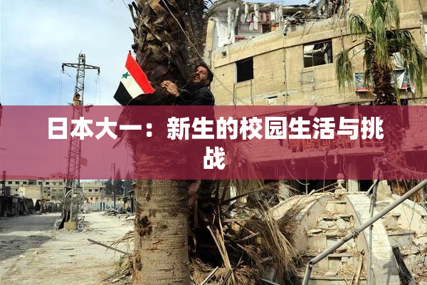 日本大一：新生的校园生活与挑战