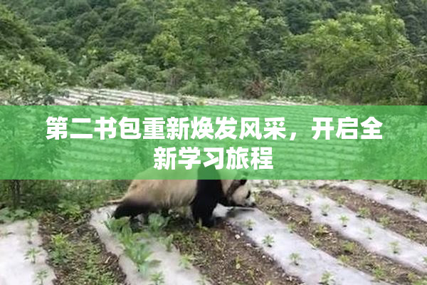第二书包重新焕发风采，开启全新学习旅程