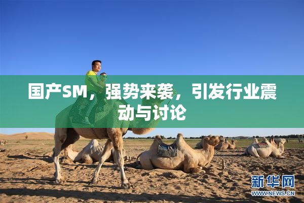 国产SM，强势来袭，引发行业震动与讨论