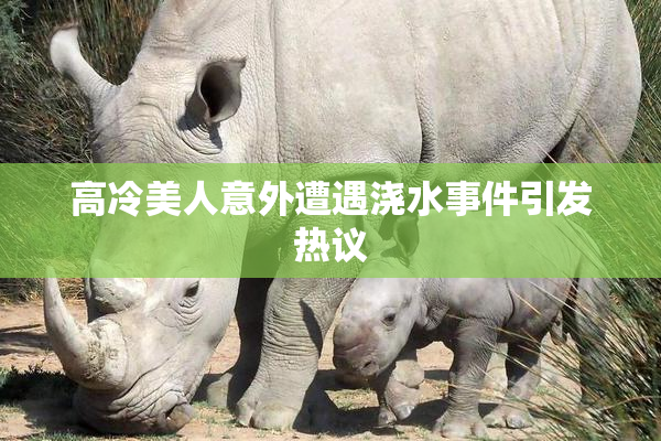 高冷美人意外遭遇浇水事件引发热议