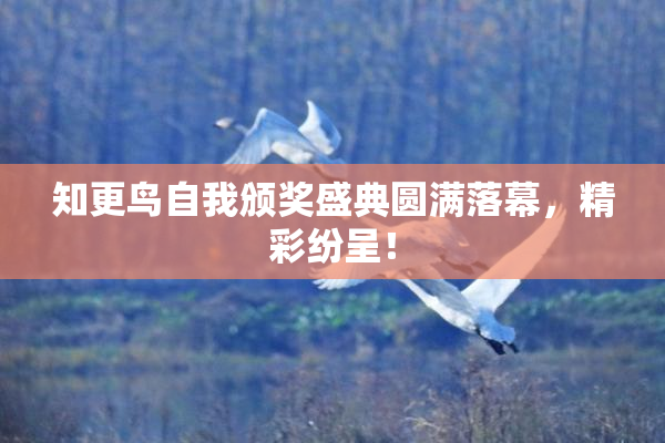 知更鸟自我颁奖盛典圆满落幕，精彩纷呈！