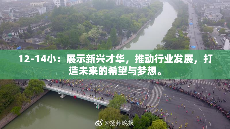 12-14小：展示新兴才华，推动行业发展，打造未来的希望与梦想。