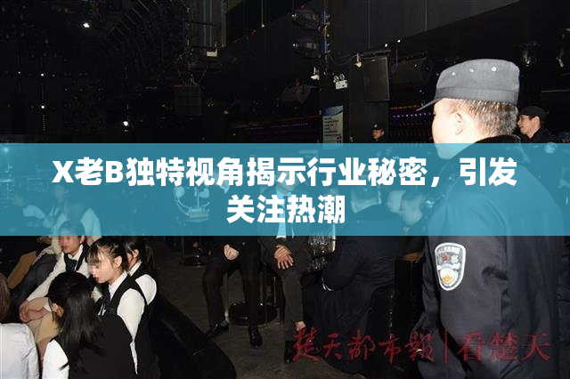 X老B独特视角揭示行业秘密，引发关注热潮