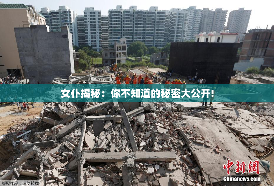 女仆揭秘：你不知道的秘密大公开!