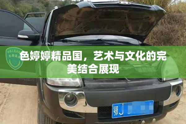 色婷婷精品国，艺术与文化的完美结合展现