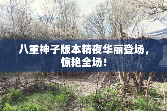 八重神子版本精夜华丽登场，惊艳全场！