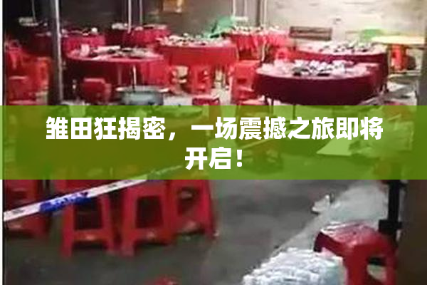 雏田狂揭密，一场震撼之旅即将开启！
