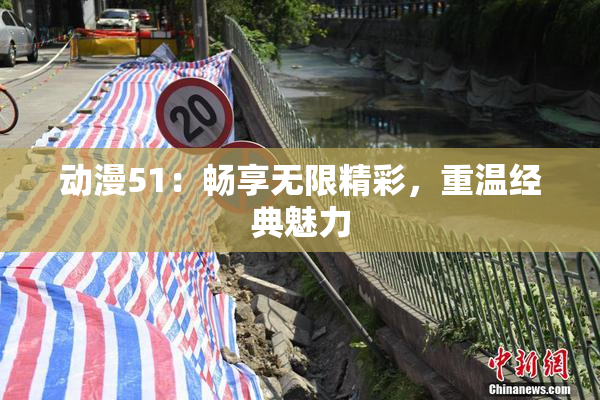 动漫51：畅享无限精彩，重温经典魅力
