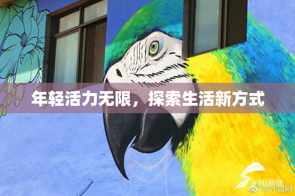 年轻活力无限，探索生活新方式