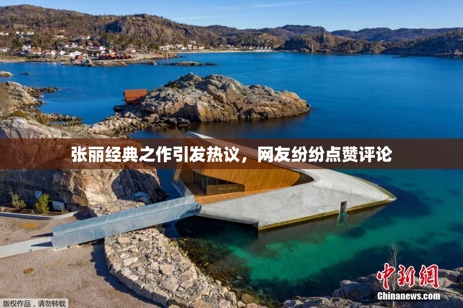 张丽经典之作引发热议，网友纷纷点赞评论