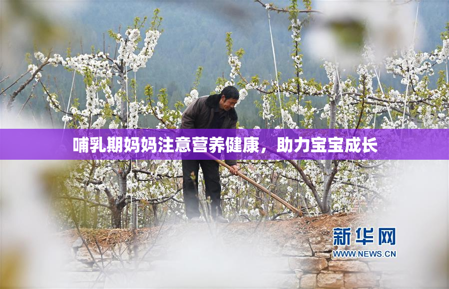 哺乳期妈妈注意营养健康，助力宝宝成长