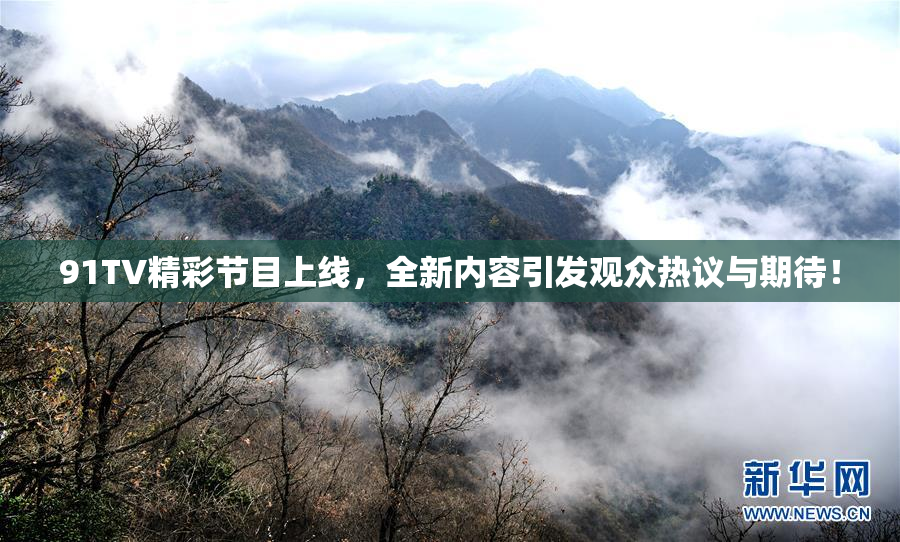 91TV精彩节目上线，全新内容引发观众热议与期待！