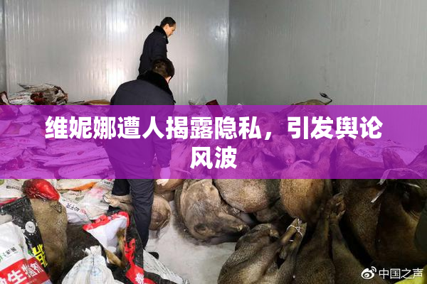 维妮娜遭人揭露隐私，引发舆论风波