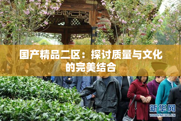 国产精品二区：探讨质量与文化的完美结合