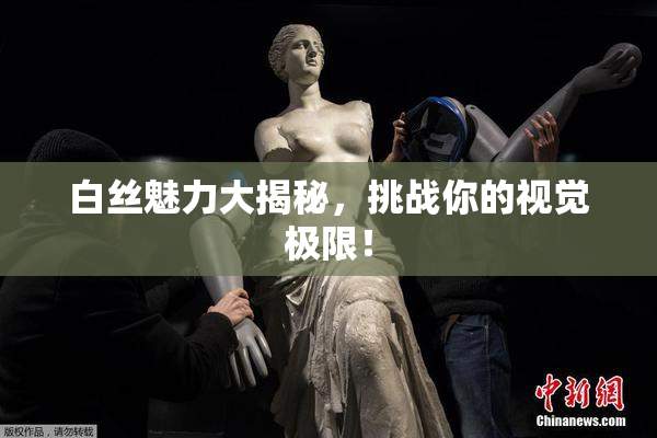 白丝魅力大揭秘，挑战你的视觉极限！