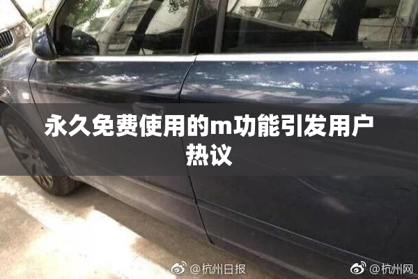 永久免费使用的m功能引发用户热议