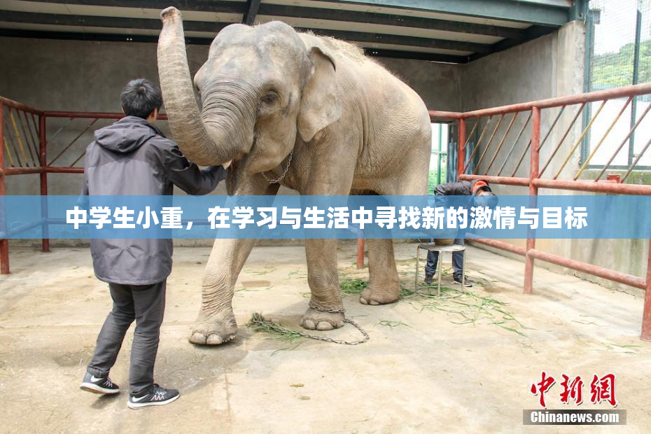 中学生小重，在学习与生活中寻找新的激情与目标