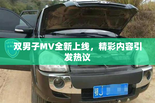 双男子MV全新上线，精彩内容引发热议
