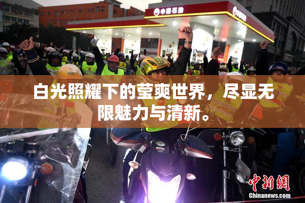 白光照耀下的莹爽世界，尽显无限魅力与清新。