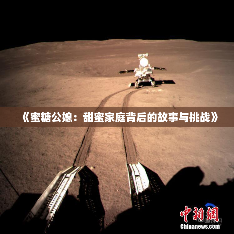 《蜜糖公媳：甜蜜家庭背后的故事与挑战》