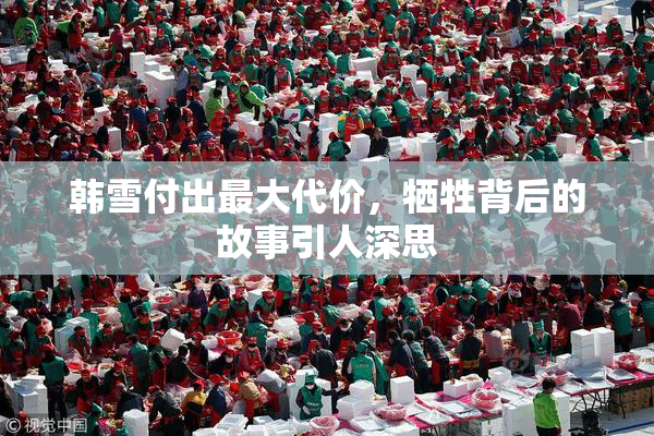 韩雪付出最大代价，牺牲背后的故事引人深思