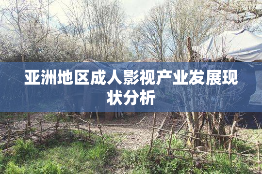 亚洲地区成人影视产业发展现状分析