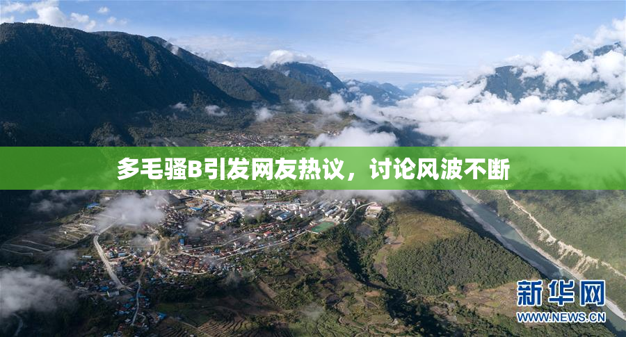 多毛骚B引发网友热议，讨论风波不断