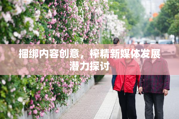 捆绑内容创意，榨精新媒体发展潜力探讨