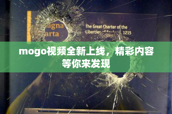 mogo视频全新上线，精彩内容等你来发现