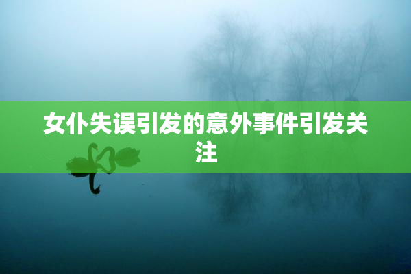 女仆失误引发的意外事件引发关注