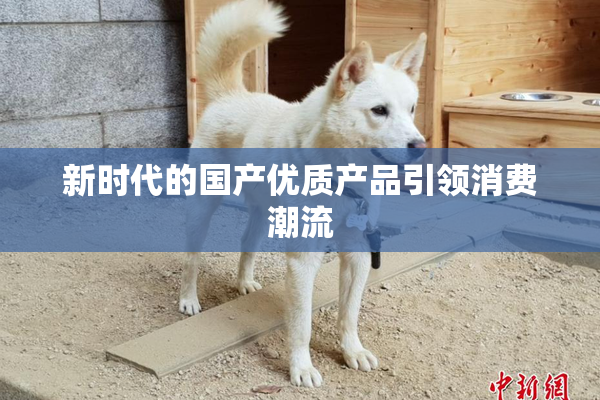 新时代的国产优质产品引领消费潮流