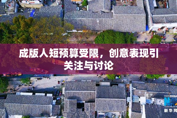 成版人短预算受限，创意表现引关注与讨论
